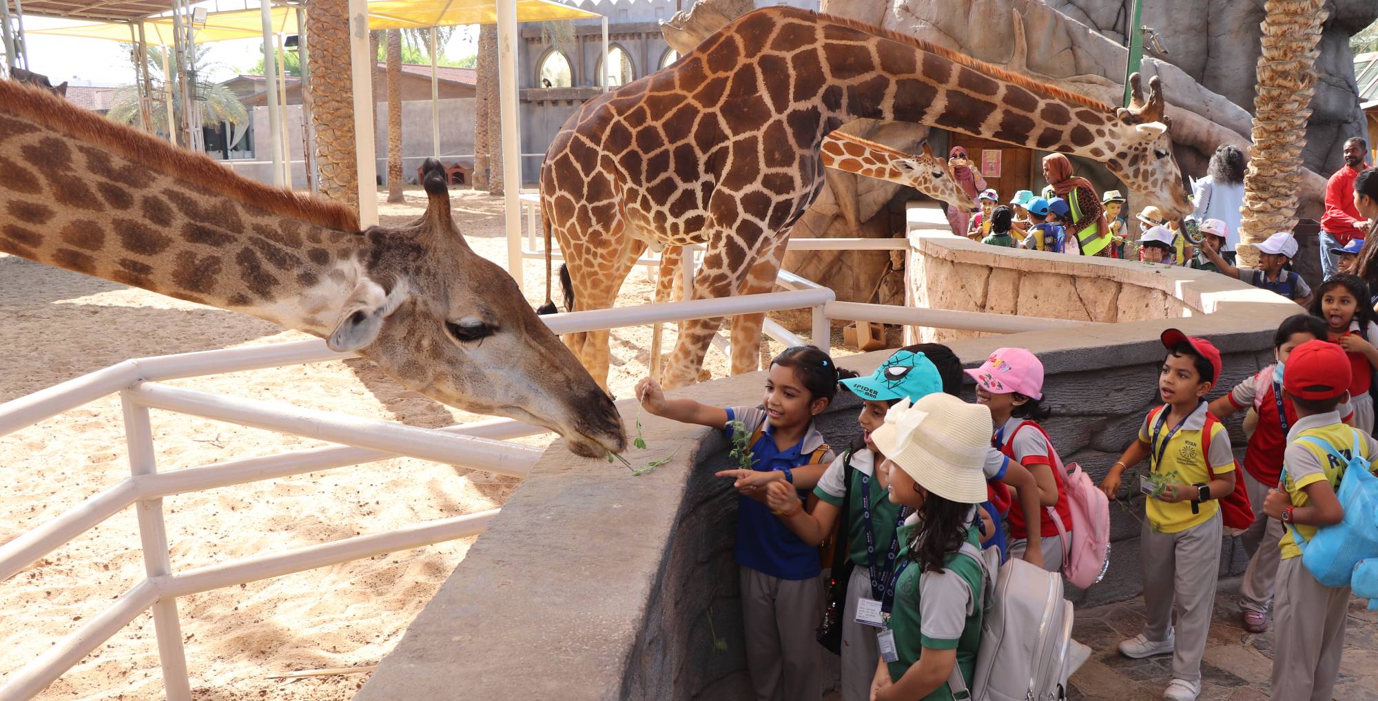 School Trip Packages