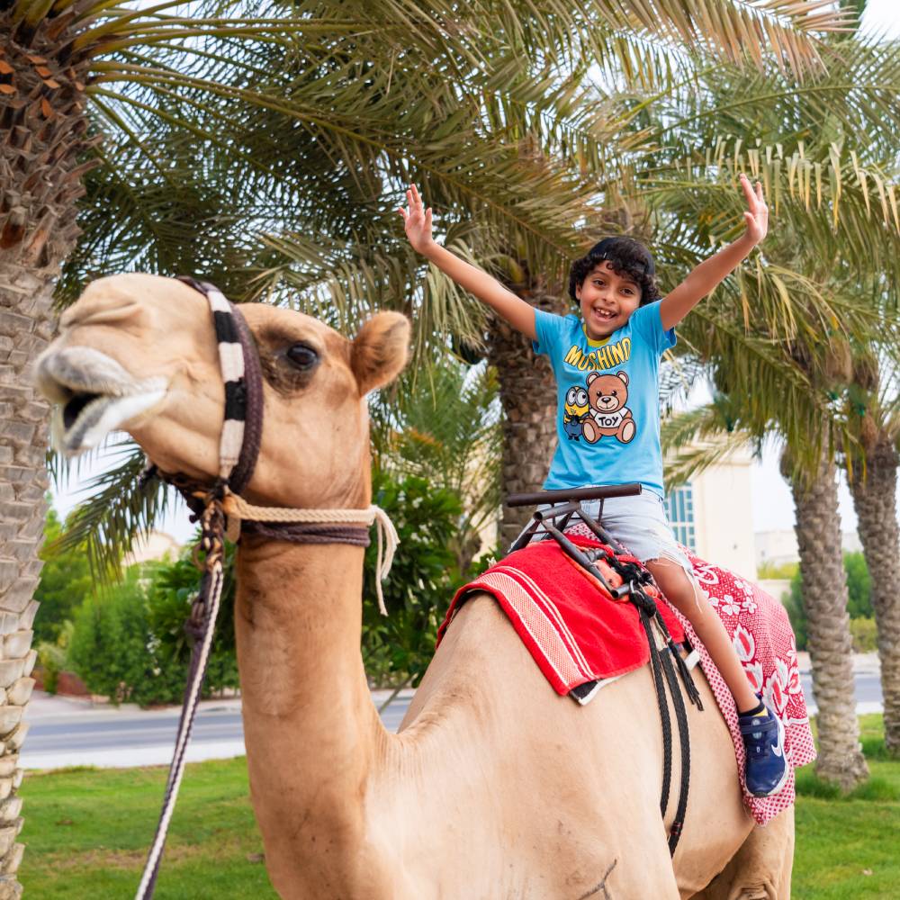 Animals Riding