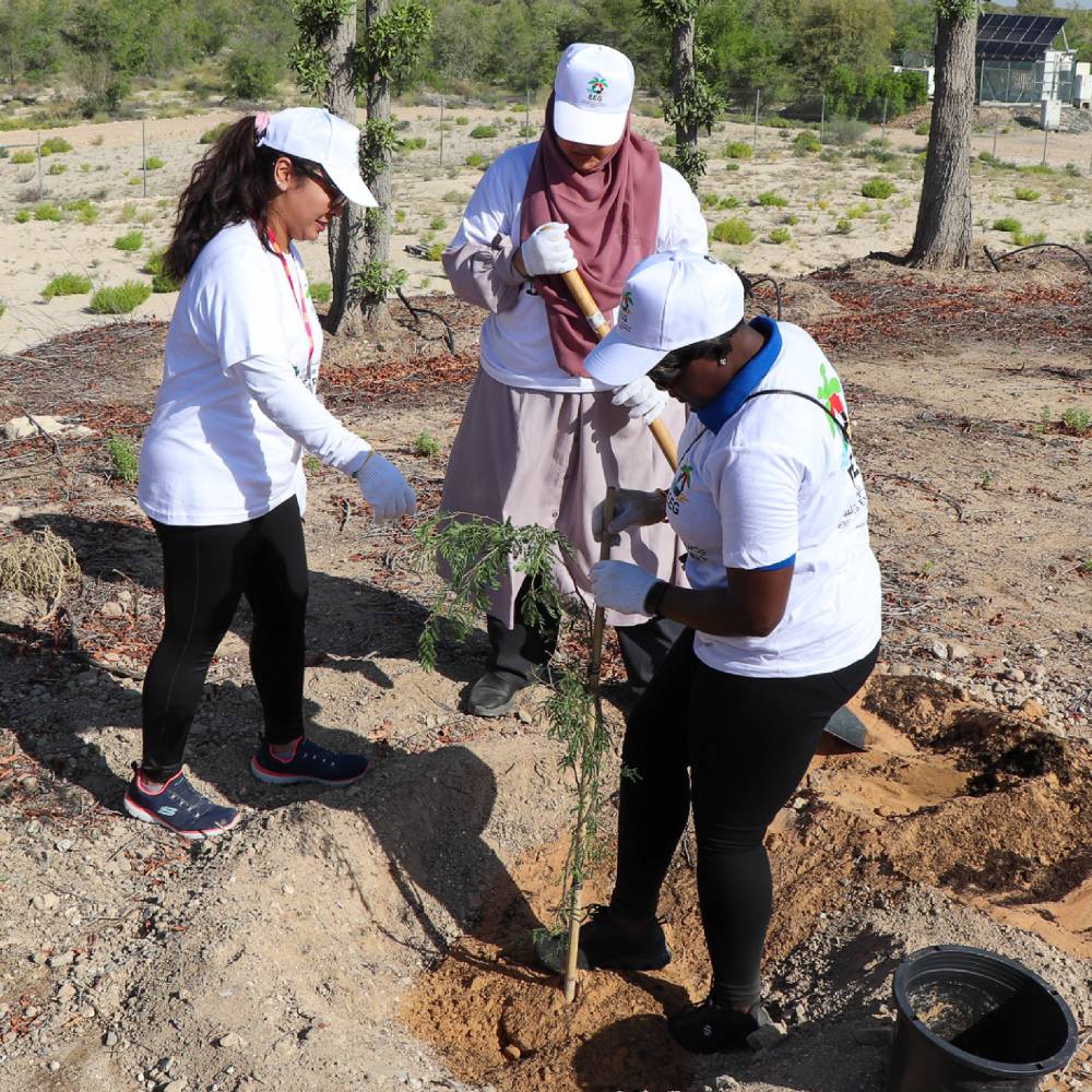 Tree Planting Initiative