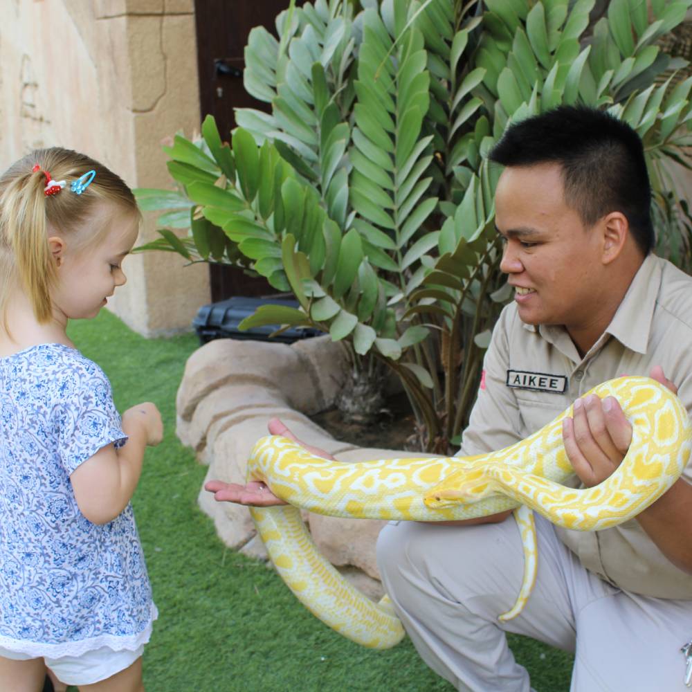 Reptile interaction