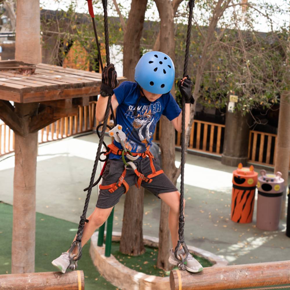 Zipline & Climbing
