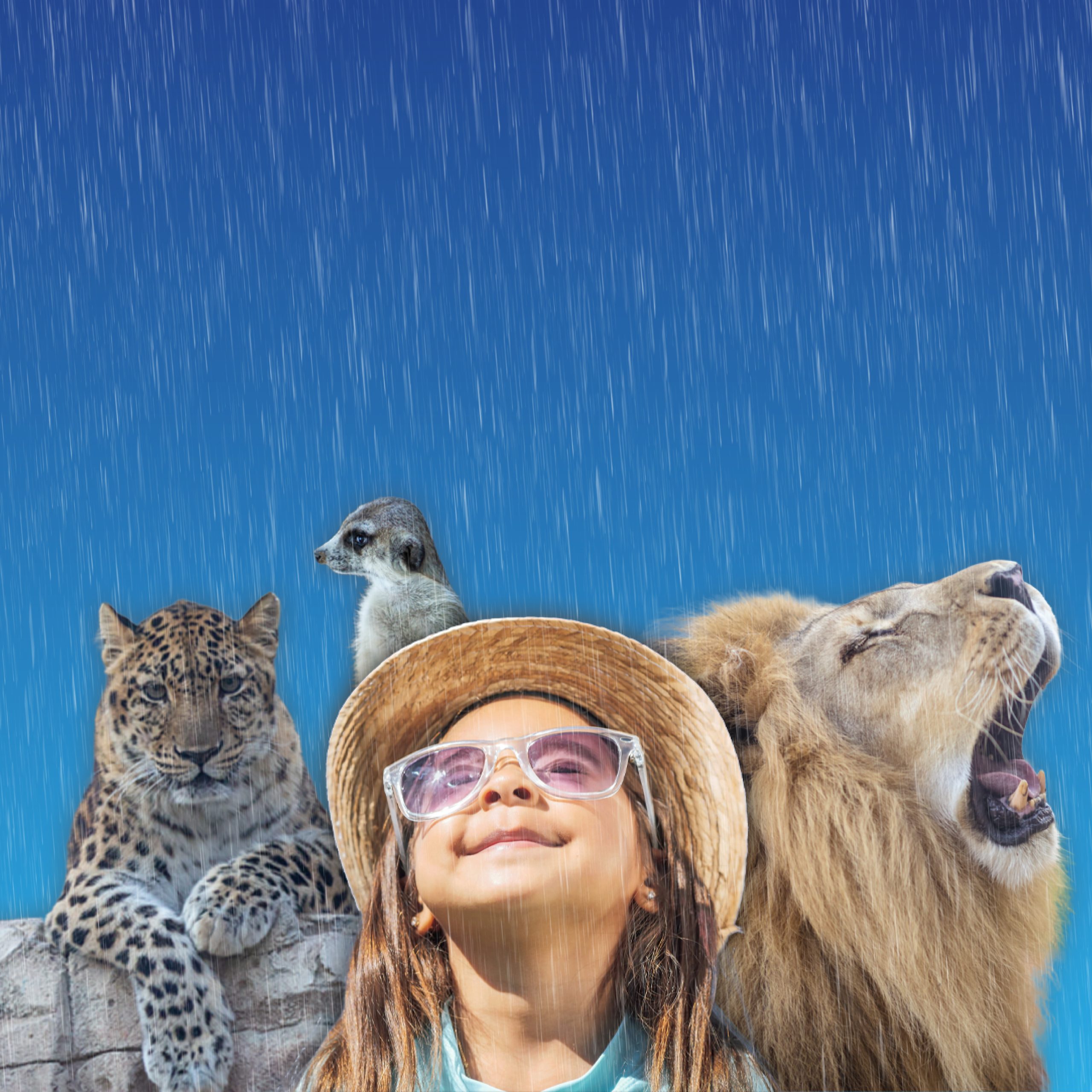 Zoo Plus