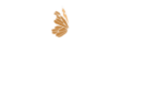 Dubai Parks Logo